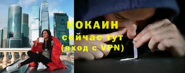 дживик Новодвинск
