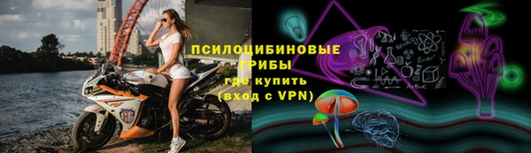 дживик Новодвинск