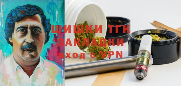 дживик Новодвинск