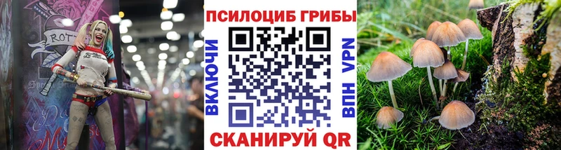 где купить наркотик  Лысково  Галлюциногенные грибы GOLDEN TEACHER 